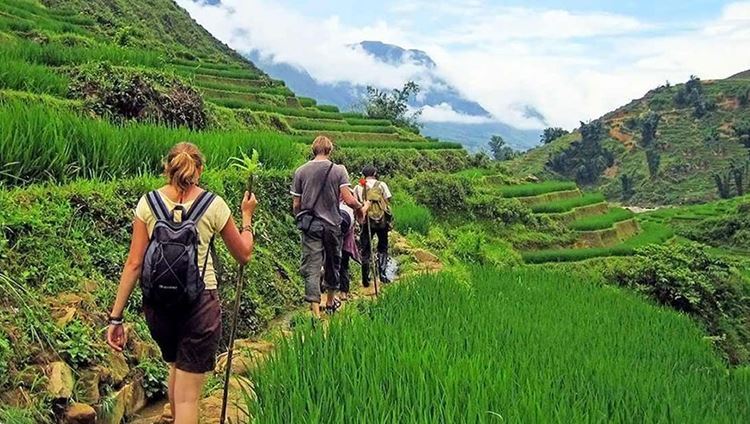 One-Day Sapa Hiking Tour to Y Linh Ho Mong, Lao Chai San & Ta Van